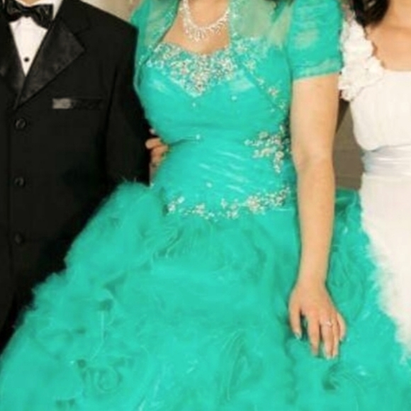 Quiencenera Dress, Prom or Ball Dress - Picture 6 of 14